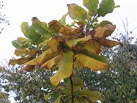 31-10-05canon_078