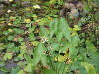 07-09-05canon_013