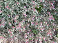 08-09-05canon_001