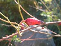 08-09-05canon_064