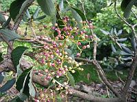 09-09-05canon_021