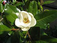10-09-05canon_069