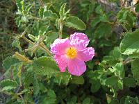16-09-05canon_002