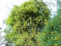 23-09-2006_17-39-16_24