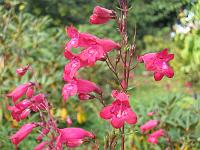 28-09-05canon_008