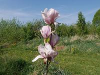2016-05-10-09-18-55