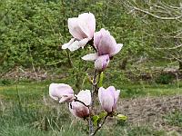 2019-04-28-09-11-28