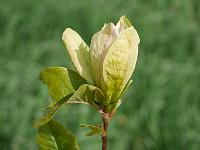 2015-05-22-08-55-45