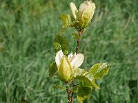 2015-05-22-08-55-52
