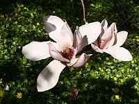 2019-04-20-15-55-02