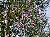 2018-04-22-09-05-28