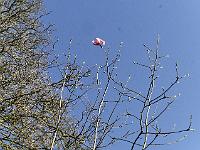 2019-04-19-08-32-27