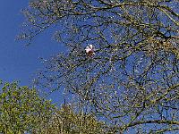 2019-04-21-08-12-12