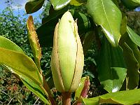 2008-06-05_07-58-44_0001_(143)