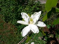 2008-07-02_07-31-06_0025