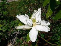 2008-07-02_07-31-06_0048