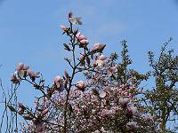 2009-04-16_08-17-07_0061