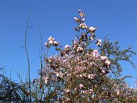 2009-04-17_07-11-03_0061