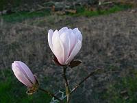 2009-04-19_18-17-31_0084