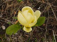 2015-05-11-08-25-07