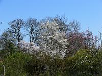 2009-04-21_12-24-26_0031