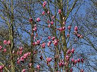 2019-04-20-08-02-42