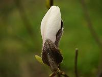 2012-04-25_07-28-19_0028