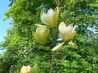 2009-05-13_08-16-28_0007