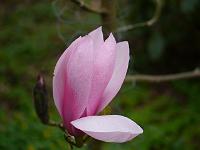 2014-04-12_07-40-09_0005