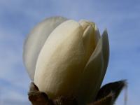 2010-04-20_07-34-40_0010