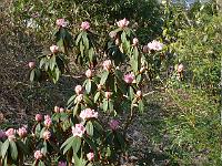 2015-04-16-16-31-44