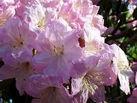 27-05-05kodak_117
