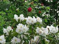 24-06-2006_17-36-08_69