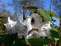 2011-04-17_07-44-25_0030