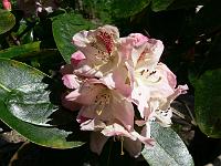 2008-05-23_08-57-26_0067