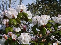 2014-04-10_08-06-23_0040