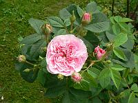 30-06-2006_09-28-26_18