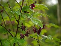 2014-05-07_10-18-48_0022