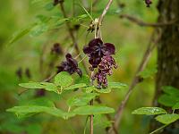 2014-05-12_10-00-52_0018