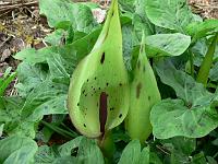 2011-05-10_08-23-19_0060