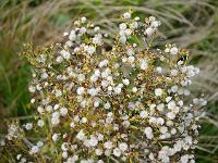 2012-09-05_12-56-44_0019