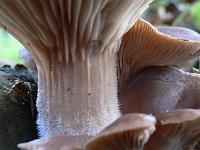 13-01-2008_12-51-28_08