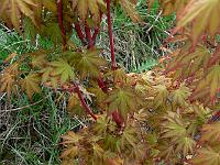 2010-05-11_16-05-37_0028