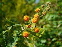 2015-06-09-09-53-20