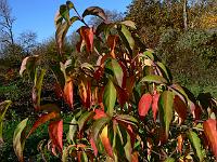 2010-11-06_10-32-15_0045