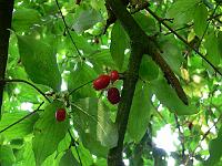 2010-09-23_15-21-08_0004