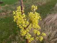 2010-04-13_07-17-47_0007