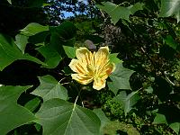 2009-06-18_08-46-24_0089