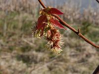 2015-04-15-08-19-39