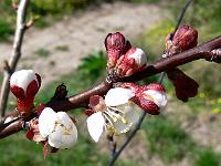 2009-04-17_14-07-56_0072